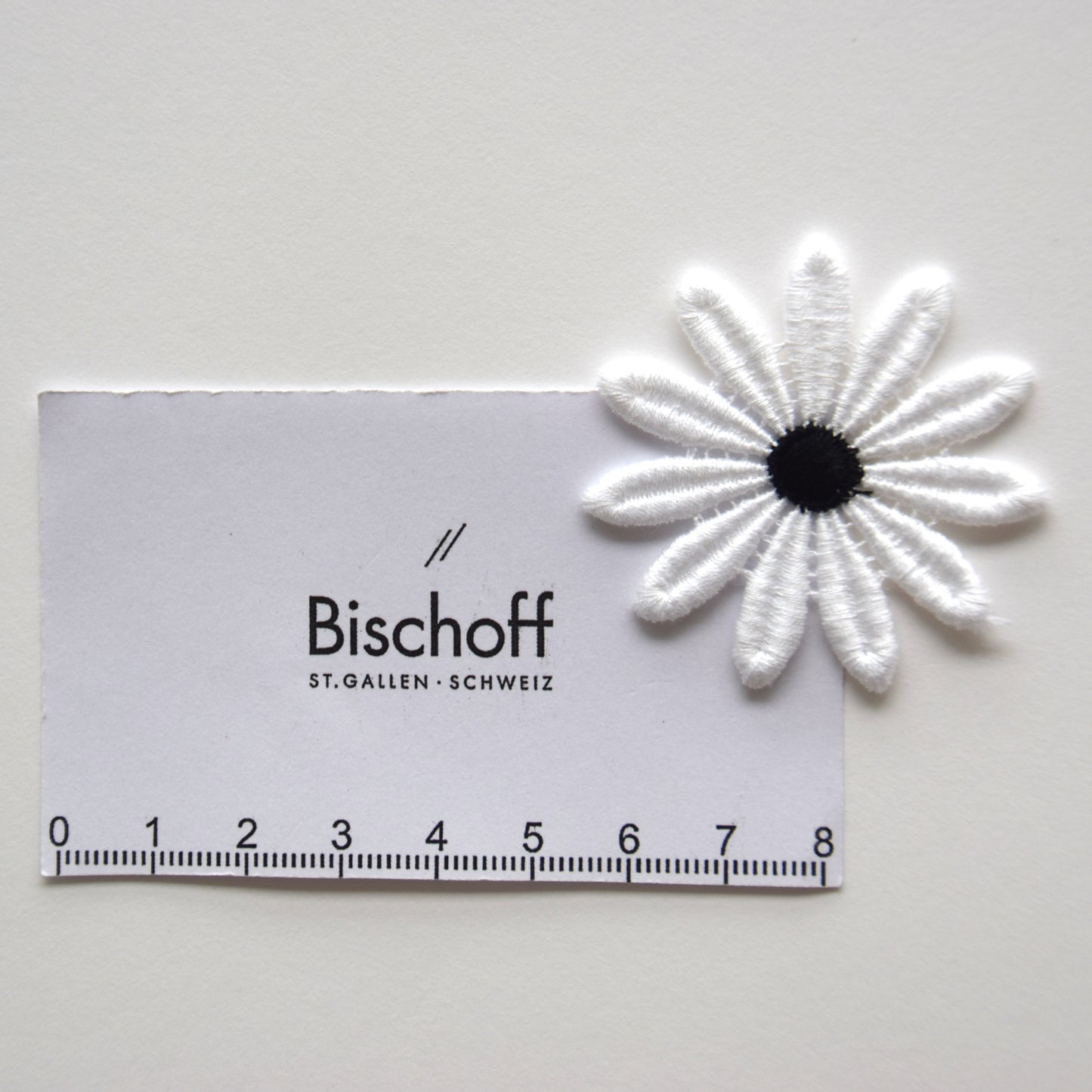 schwarz weisse Blume