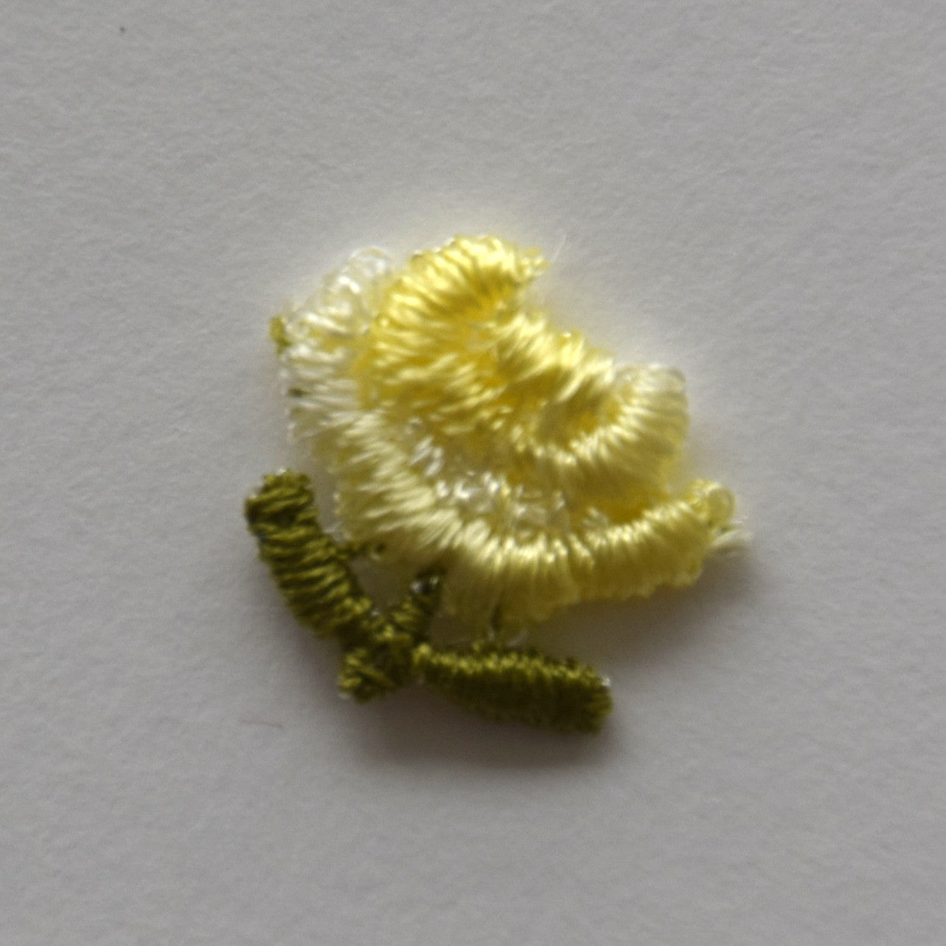 Blume