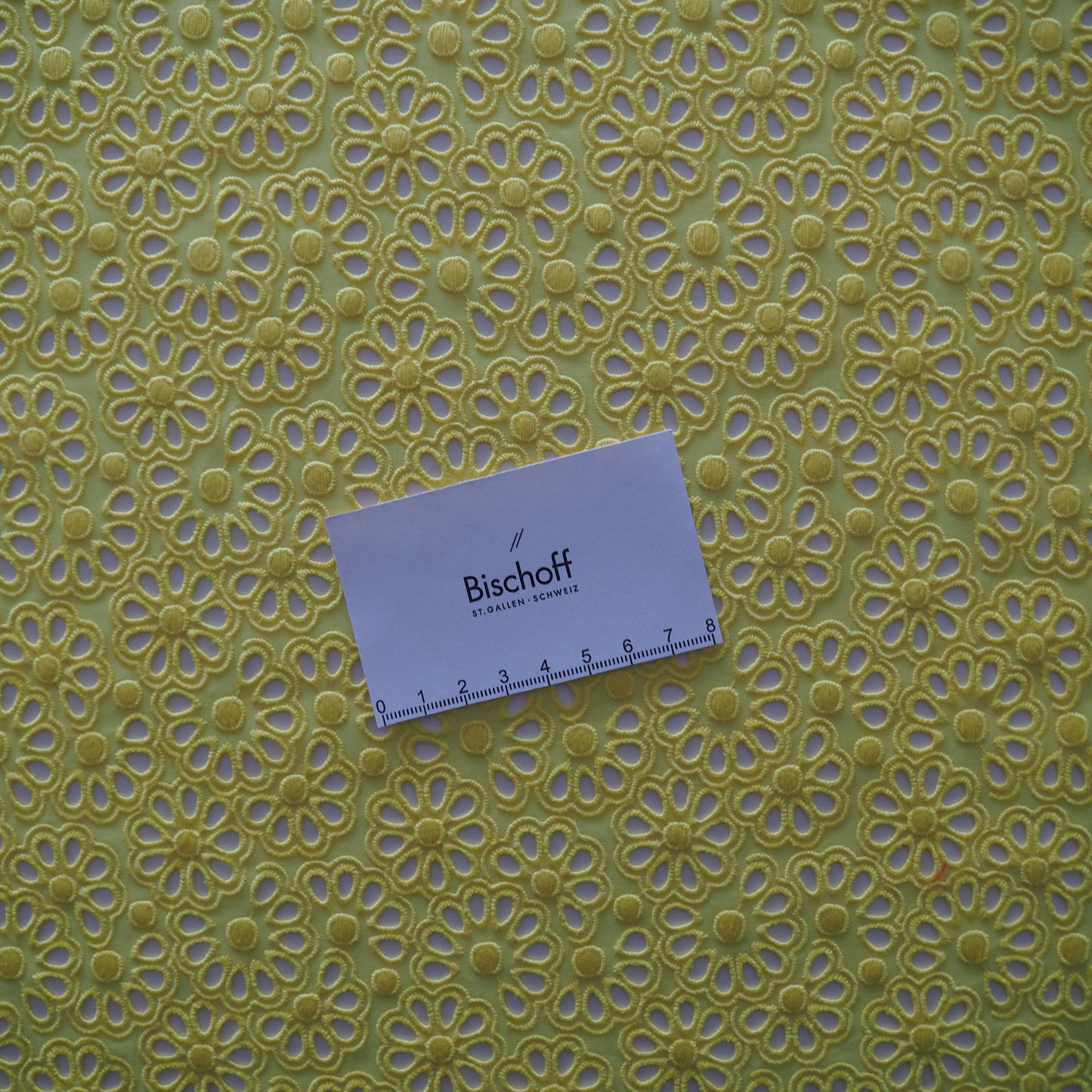 Baumwoll- Allover- Lochstickerei - 20.004