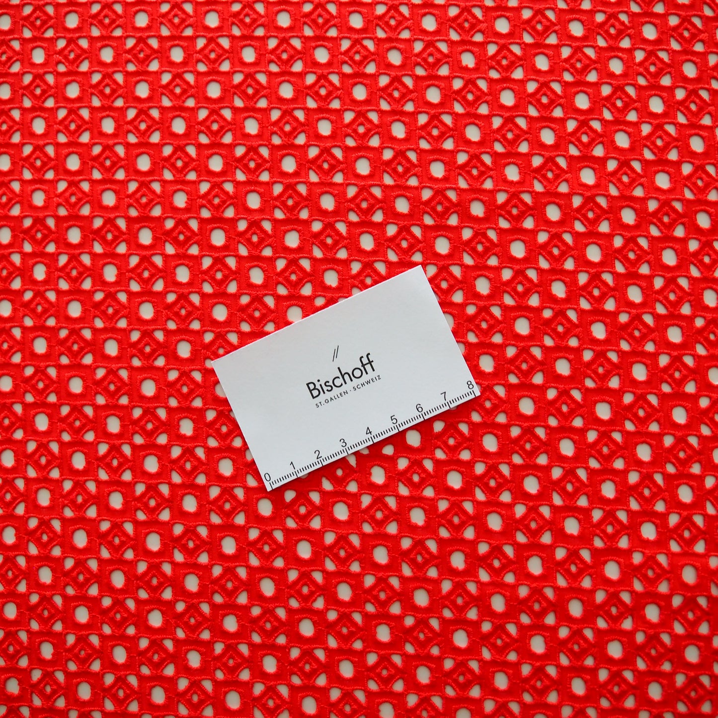 Baumwoll- Allover- Lochstickerei - 20.005