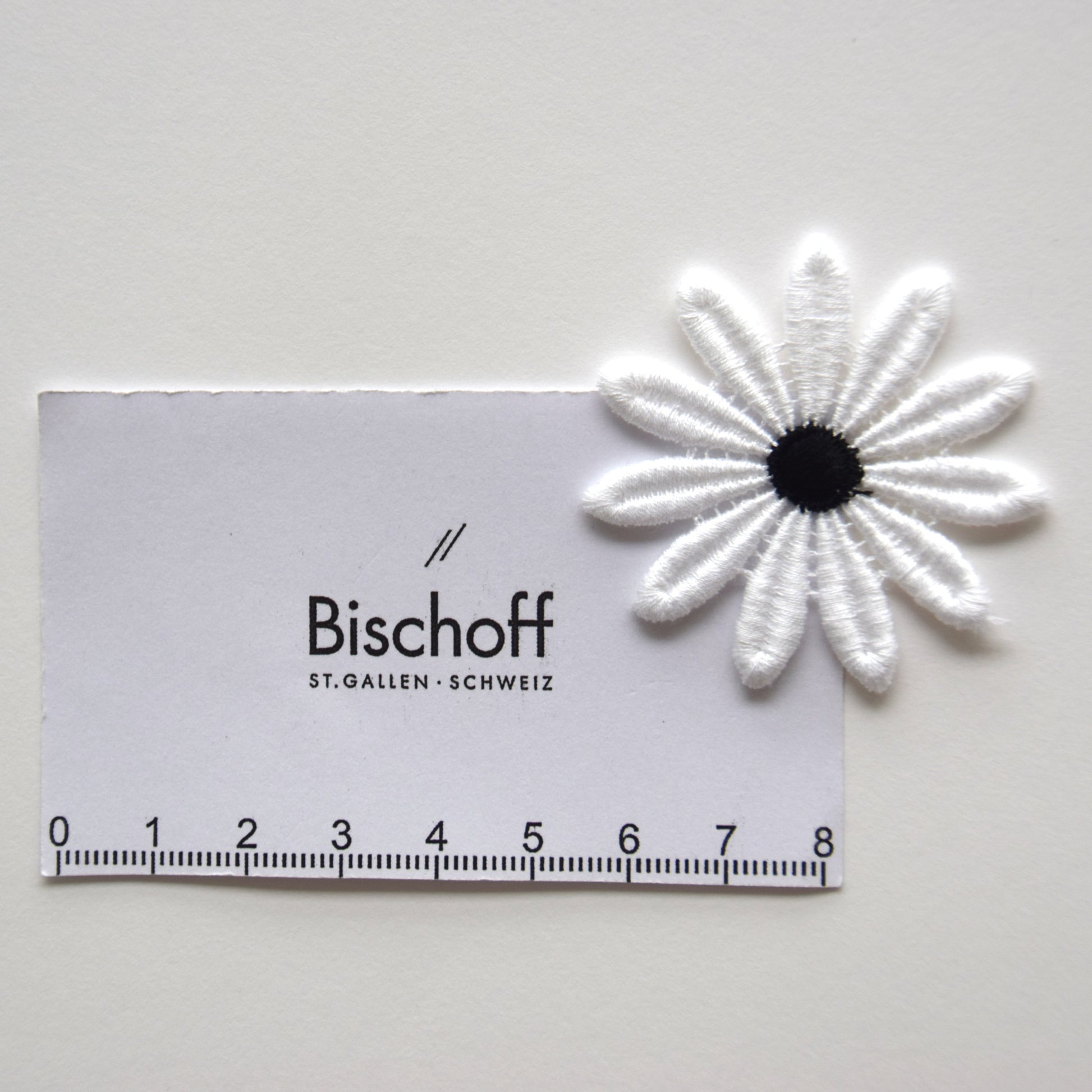 schwarz weisse Blume