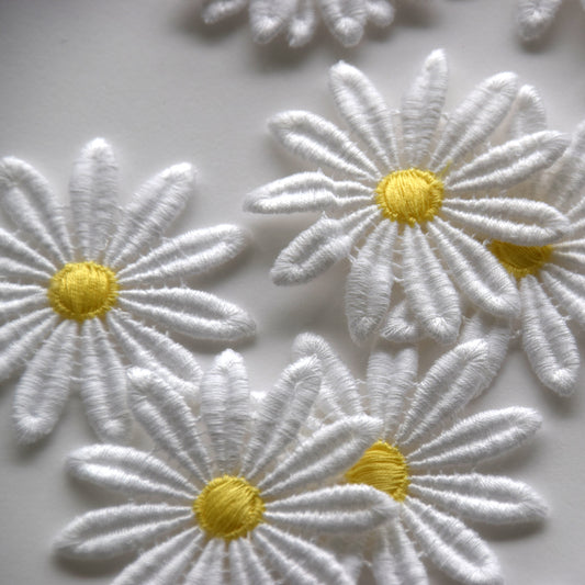 weiss gelbe Blumen