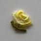 Blume